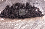13x4 HD Lace Frontals